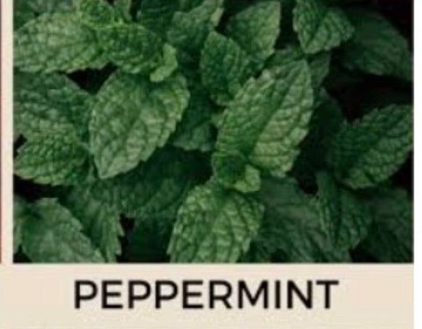 Men on Pause | Menopause Support Tea