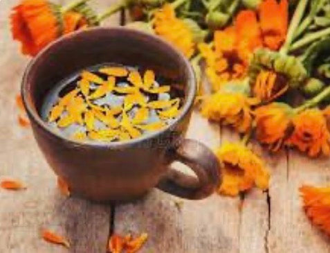 Calendula Tea – Gentle Bloom for Body & Balance